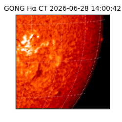 gong - 2026-06-28T14:00:42
