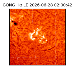 gong - 2026-06-28T02:00:42