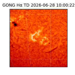 gong - 2026-06-28T10:00:22
