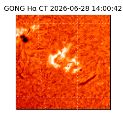 gong - 2026-06-28T14:00:42
