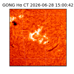 gong - 2026-06-28T15:00:42
