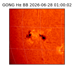 gong - 2026-06-28T01:00:02