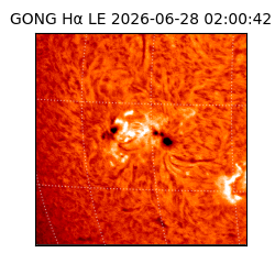 gong - 2026-06-28T02:00:42