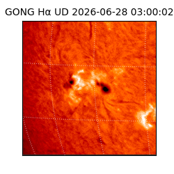gong - 2026-06-28T03:00:02