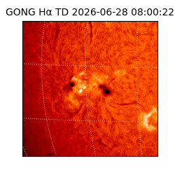 gong - 2026-06-28T08:00:22