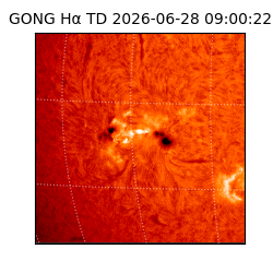 gong - 2026-06-28T09:00:22