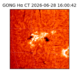 gong - 2026-06-28T16:00:42