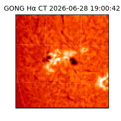 gong - 2026-06-28T19:00:42