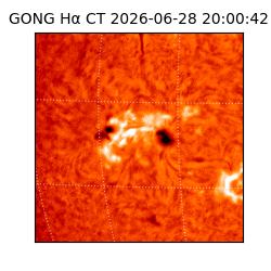 gong - 2026-06-28T20:00:42