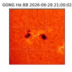 gong - 2026-06-28T21:00:02