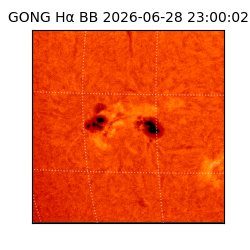 gong - 2026-06-28T23:00:02