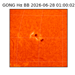 gong - 2026-06-28T01:00:02