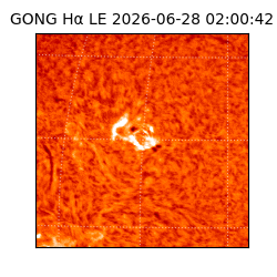 gong - 2026-06-28T02:00:42