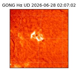 gong - 2026-06-28T02:07:02