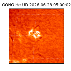 gong - 2026-06-28T05:00:02