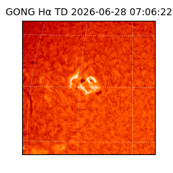 gong - 2026-06-28T07:06:22