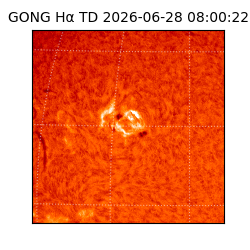 gong - 2026-06-28T08:00:22
