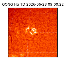 gong - 2026-06-28T09:00:22