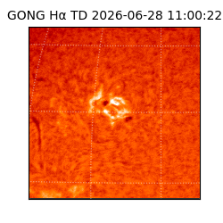 gong - 2026-06-28T11:00:22