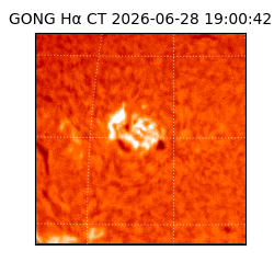gong - 2026-06-28T19:00:42