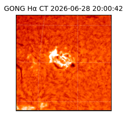 gong - 2026-06-28T20:00:42