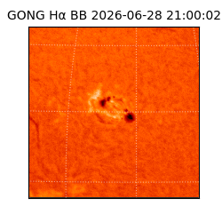 gong - 2026-06-28T21:00:02