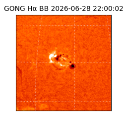 gong - 2026-06-28T22:00:02