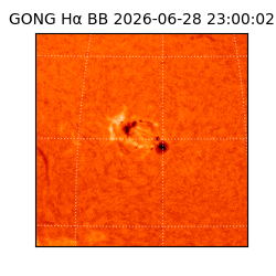 gong - 2026-06-28T23:00:02
