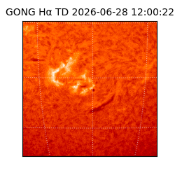 gong - 2026-06-28T12:00:22