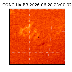 gong - 2026-06-28T23:00:02