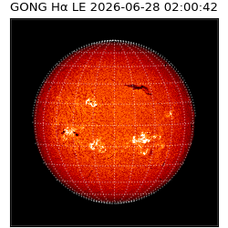 gong - 2026-06-28T02:00:42