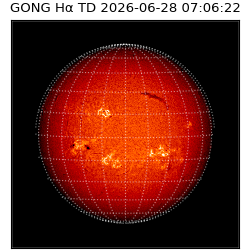 gong - 2026-06-28T07:06:22