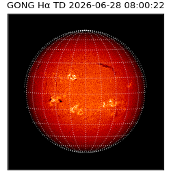 gong - 2026-06-28T08:00:22