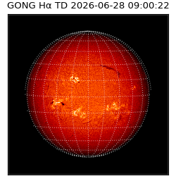 gong - 2026-06-28T09:00:22