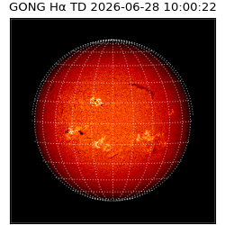 gong - 2026-06-28T10:00:22