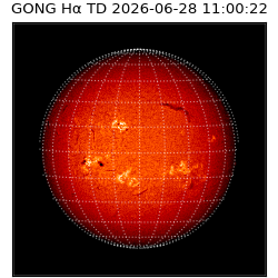 gong - 2026-06-28T11:00:22