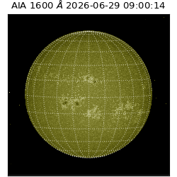 saia - 2026-06-29T09:00:14.123000
