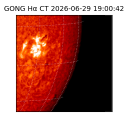 gong - 2026-06-29T19:00:42