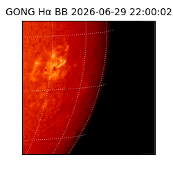 gong - 2026-06-29T22:00:02