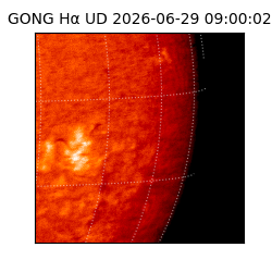 gong - 2026-06-29T09:00:02