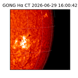 gong - 2026-06-29T16:00:42