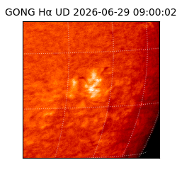 gong - 2026-06-29T09:00:02