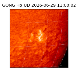 gong - 2026-06-29T11:00:02