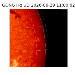 gong - 2026-06-29T11:00:02