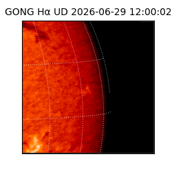 gong - 2026-06-29T12:00:02