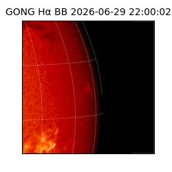 gong - 2026-06-29T22:00:02
