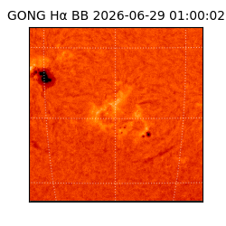 gong - 2026-06-29T01:00:02
