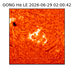 gong - 2026-06-29T02:00:42
