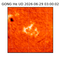 gong - 2026-06-29T03:00:02