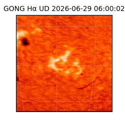 gong - 2026-06-29T06:00:02